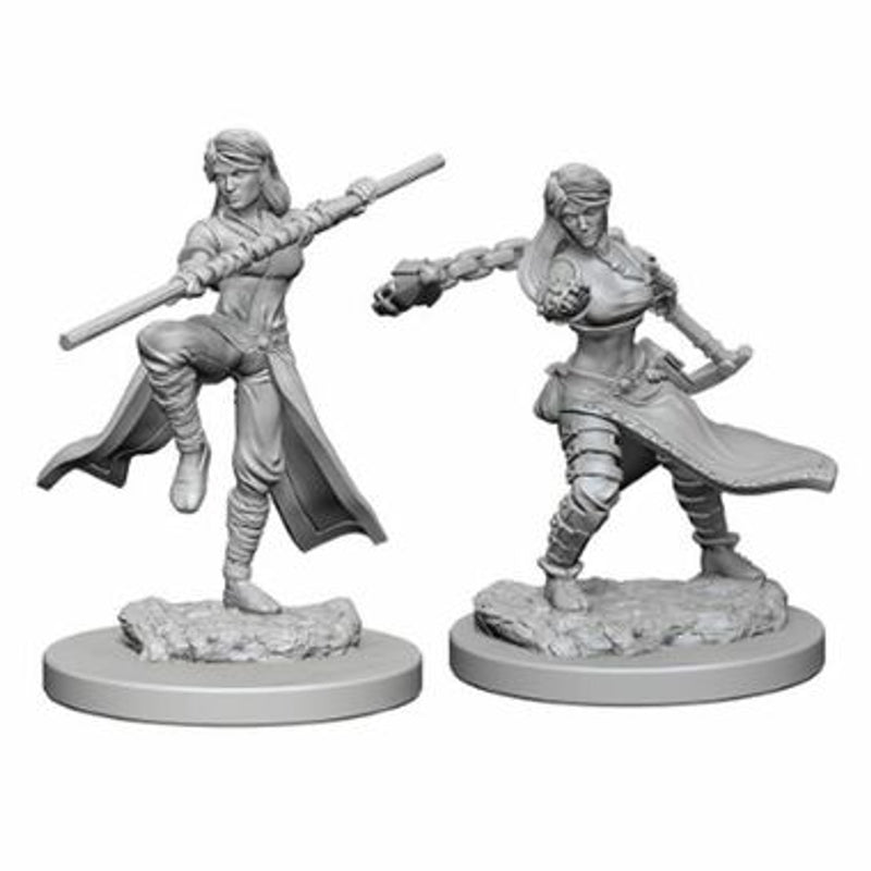 Nolzur's Marvelous Miniatures - Human Monk (female)