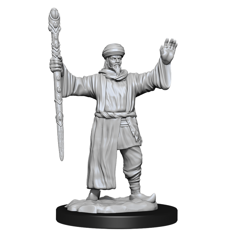 Nolzur's Marvelous Miniatures - Human Wizard (male)