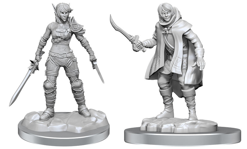 Nolzur's Marvelous Miniatures - Elf Rogue & Half-Elf Rogue Protégé