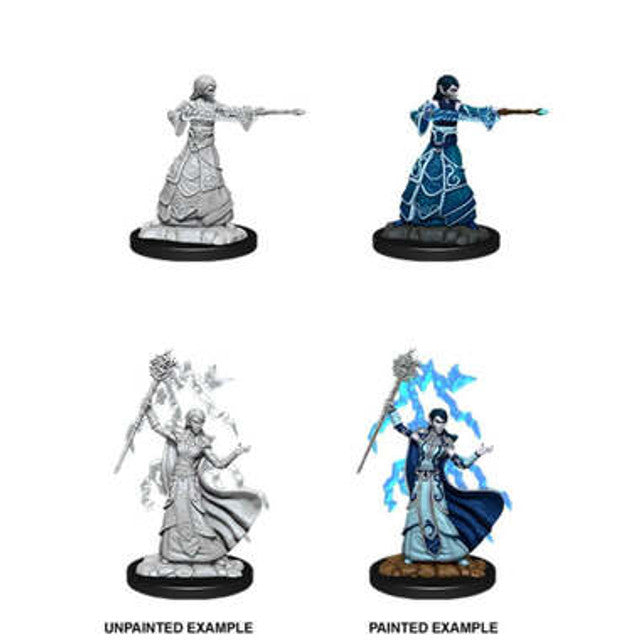 Nolzur's Marvelous Miniatures - Elf Wizard