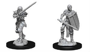 Nolzur's Marvelous Miniatures - Human Fighter