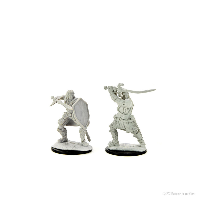 Nolzur's Marvelous Miniatures - Human Paladin