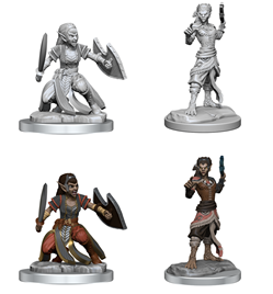 Nolzur's Marvelous Miniatures - Shifter Fighter