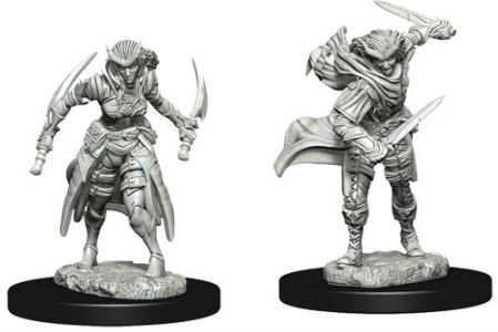 Nolzur's Marvelous Miniatures - Tiefling Rogue