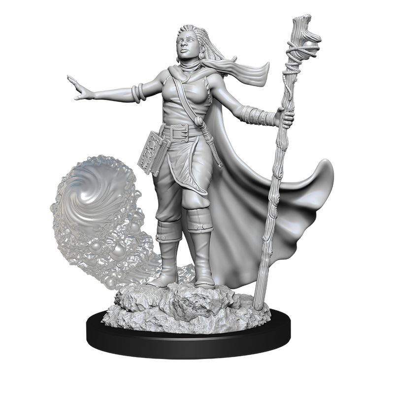 Nolzur's Marvelous Miniatures - Human Wizard (female)