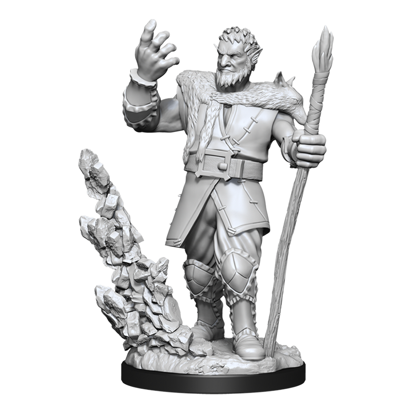 Nolzur's Marvelous Miniatures - Firbolg Druid (male)